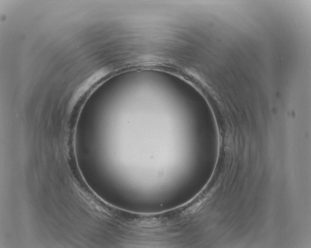 X0000060771410200511241742