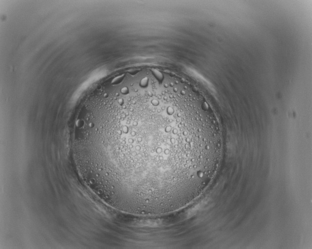 X0000060771411200511241742