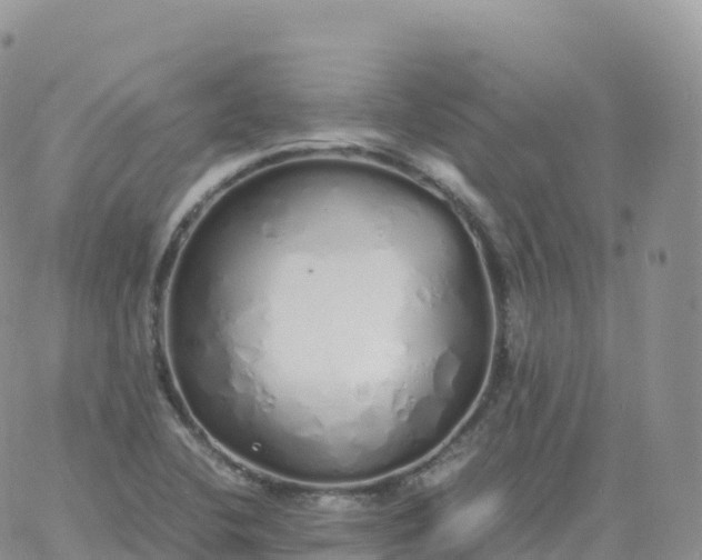 X0000060771412200511241742