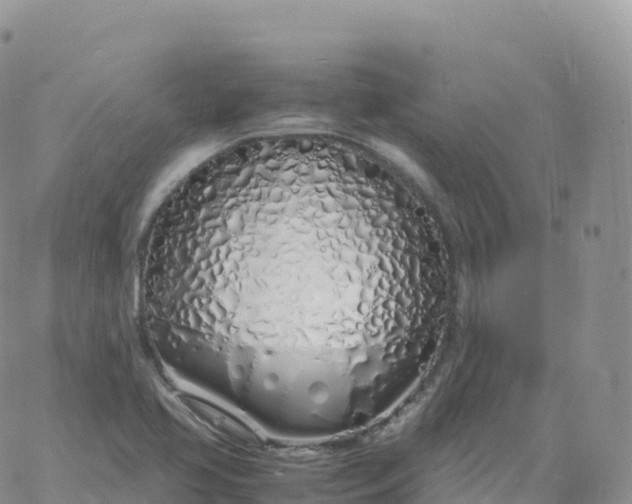 X0000060771413200511241742