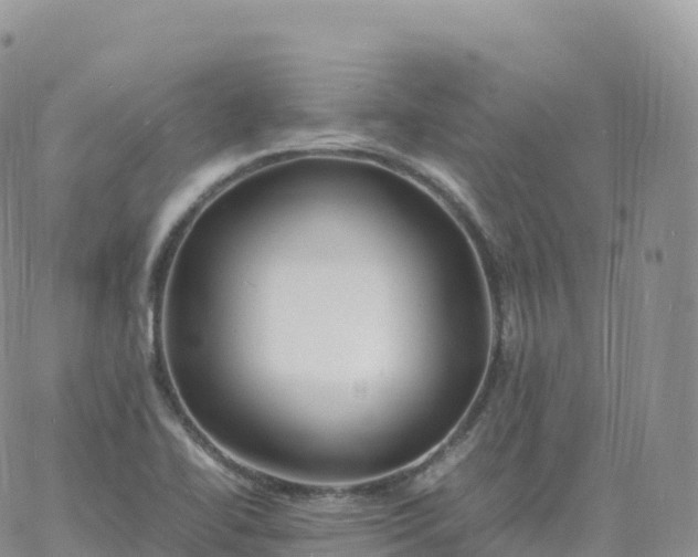 X0000060771414200511241742