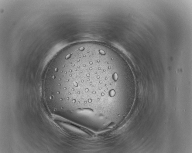 X0000060771415200511241742