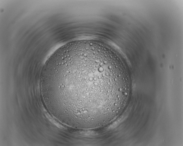 X0000060771417200511241742