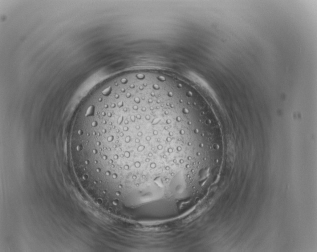 X0000060771419200511241742