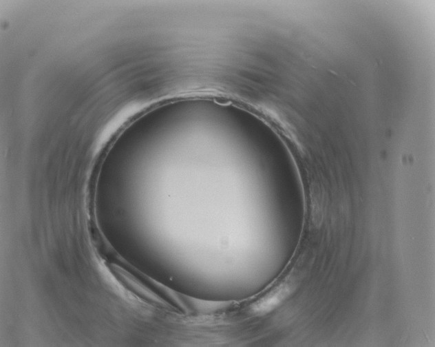 X0000060771422200511241742