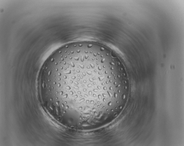 X0000060771423200511241742