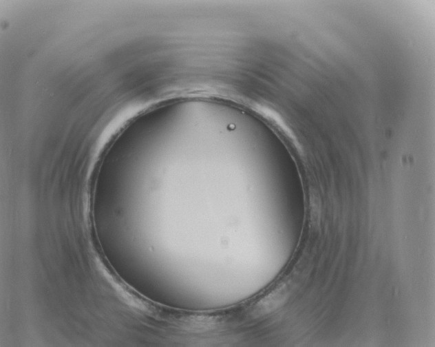 X0000060771424200511241742