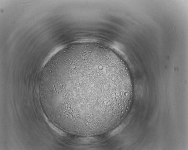 X0000060771425200511241742