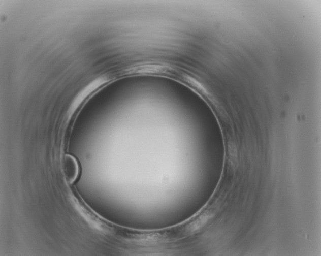 X0000060771426200511241742