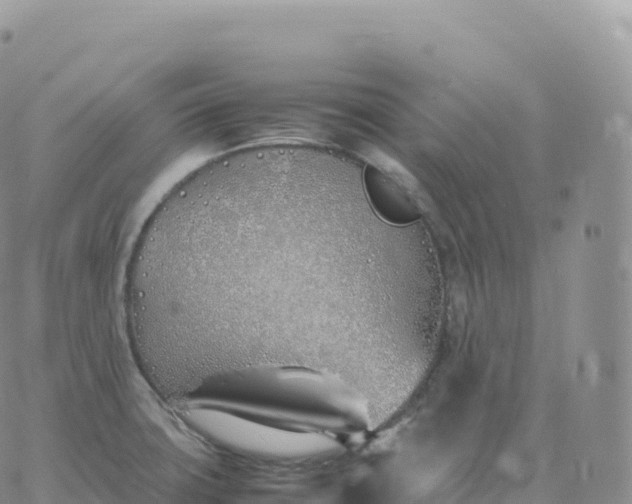 X0000060771427200511241742