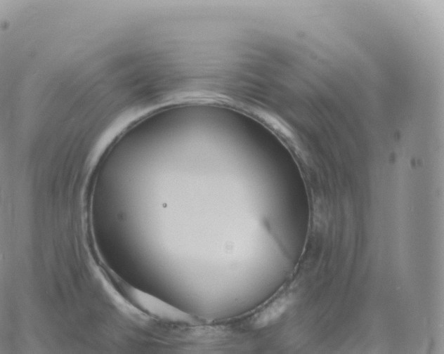 X0000060771430200511241742