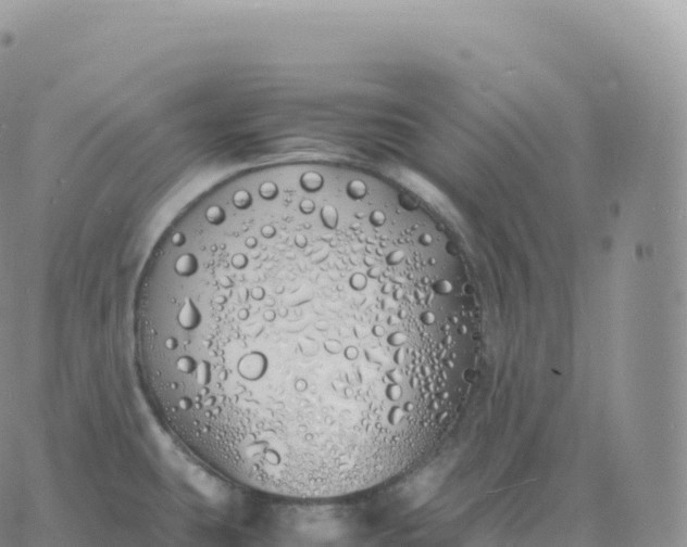 X0000060771431200511241742