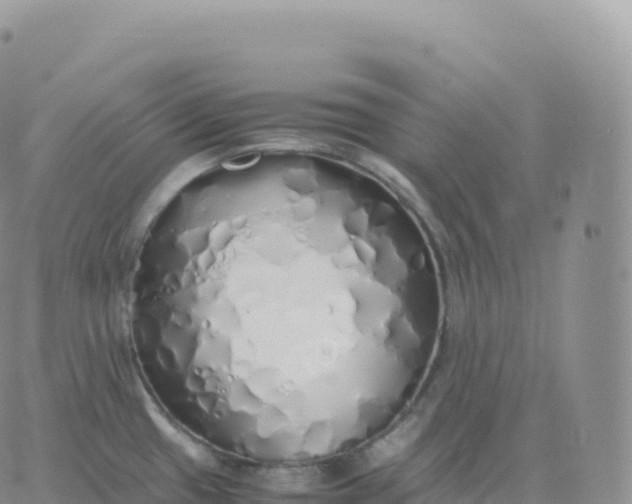 X0000060771433200511241742