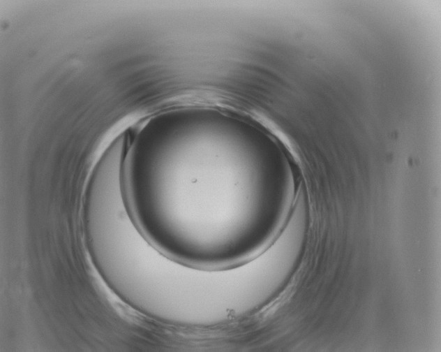 X0000060771434200511241742