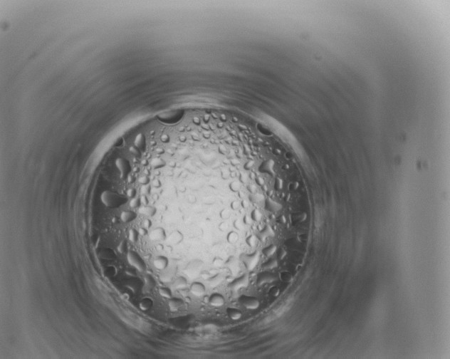 X0000060771435200511241742