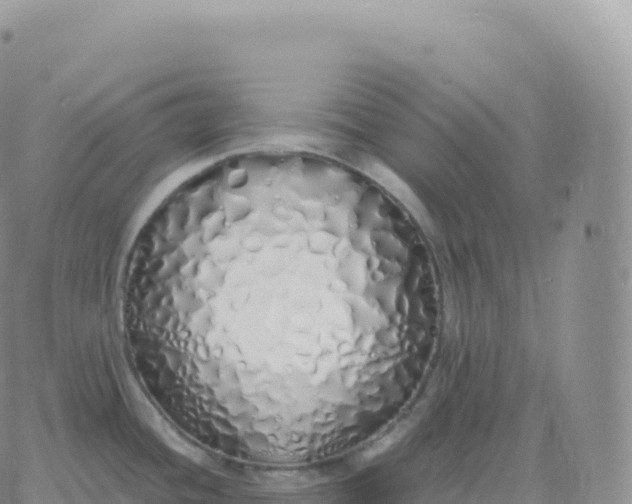 X0000060771436200511241742