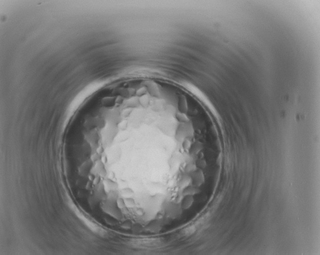 X0000060771437200511241742