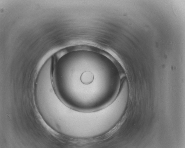 X0000060771438200511241742