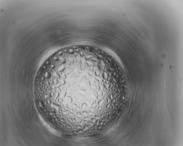 X0000060771439200511241742