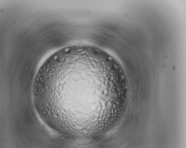 X0000060771440200511241743