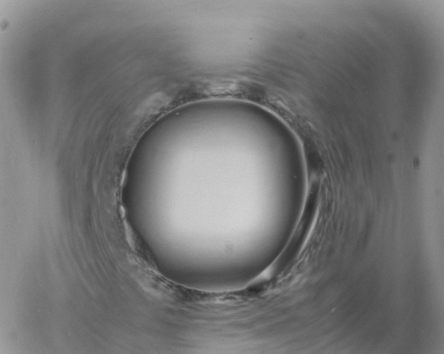 X0000060771441200511241742