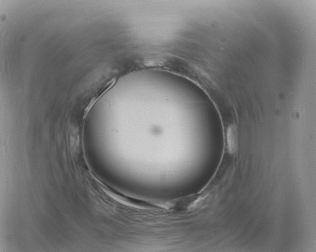 X0000060771443200511241742