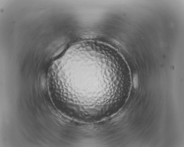 X0000060771444200511241742