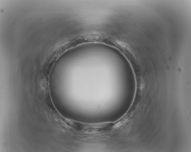 X0000060771445200511241742