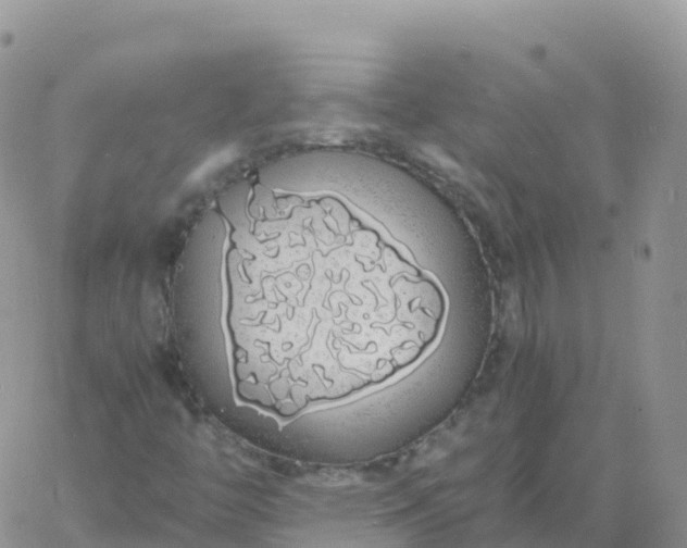 X0000060771446200511241742