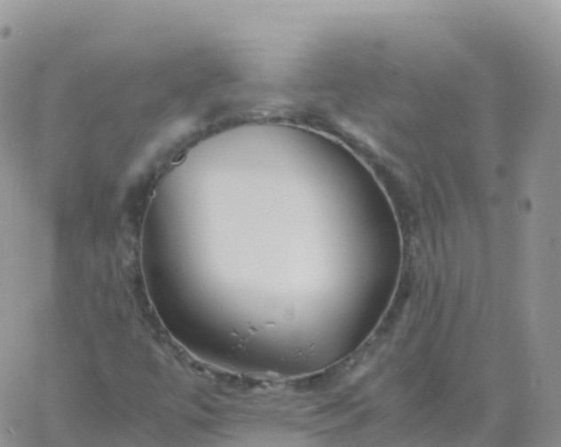 X0000060771447200511241742