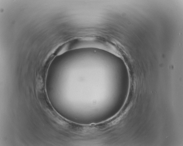 X0000060771449200511241742