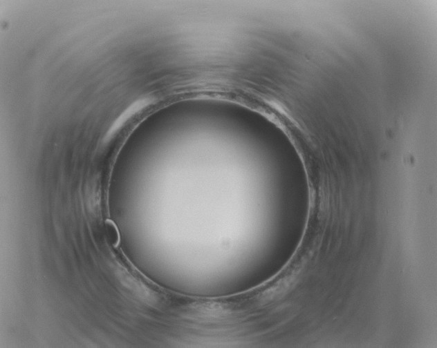 X0000060771450200511241742