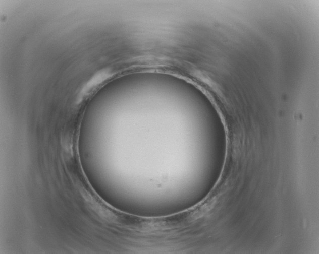 X0000060771451200511241742