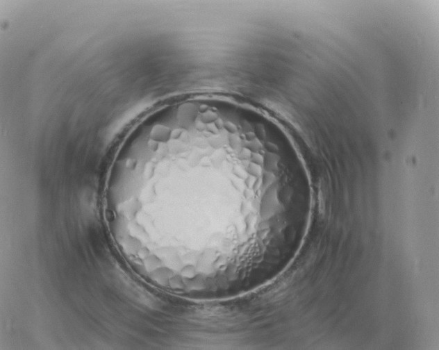 X0000060771452200511241742