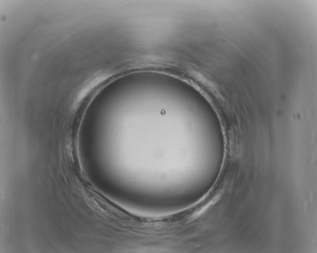 X0000060771453200511241742