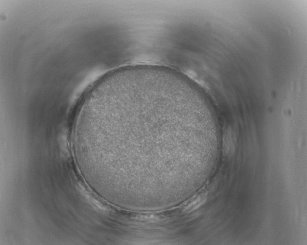 X0000060771454200511241742