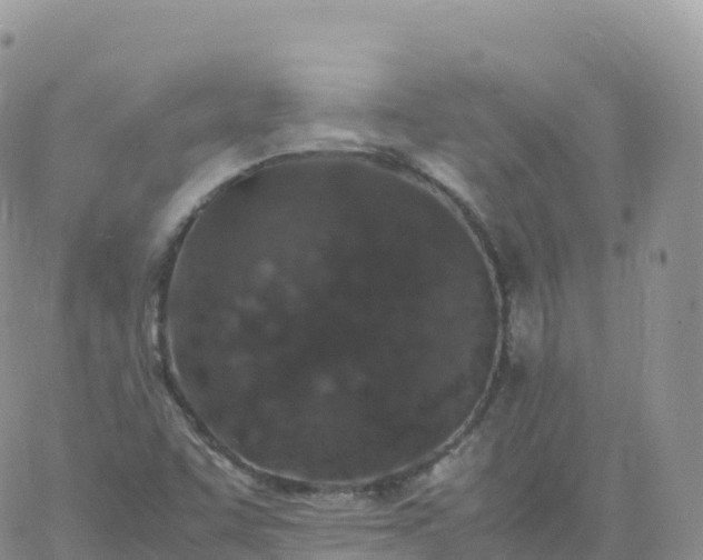 X0000060771455200511241742