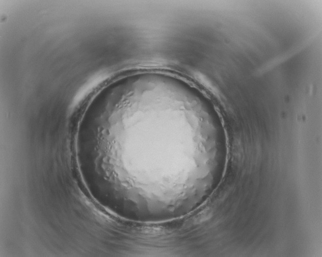 X0000060771456200511241741