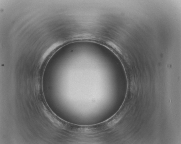 X0000060771458200511241741