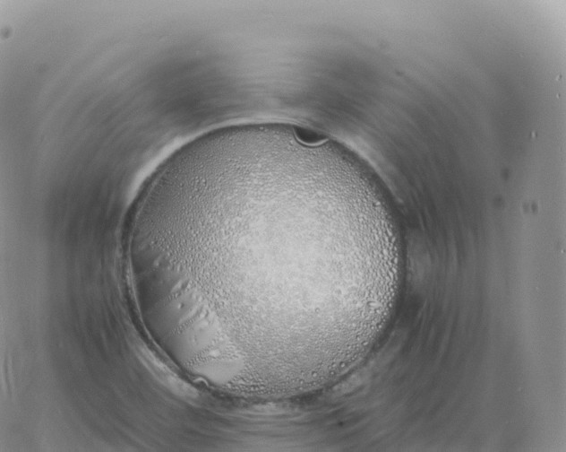 X0000060771460200511241741