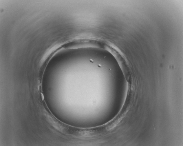 X0000060771461200511241741