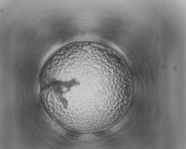 X0000060771462200511241741