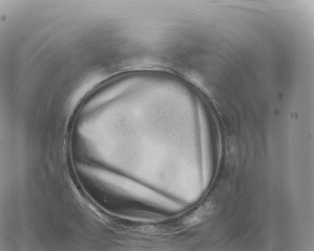 X0000060771463200511241741