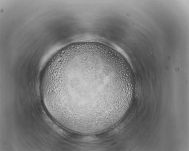 X0000060771464200511241741