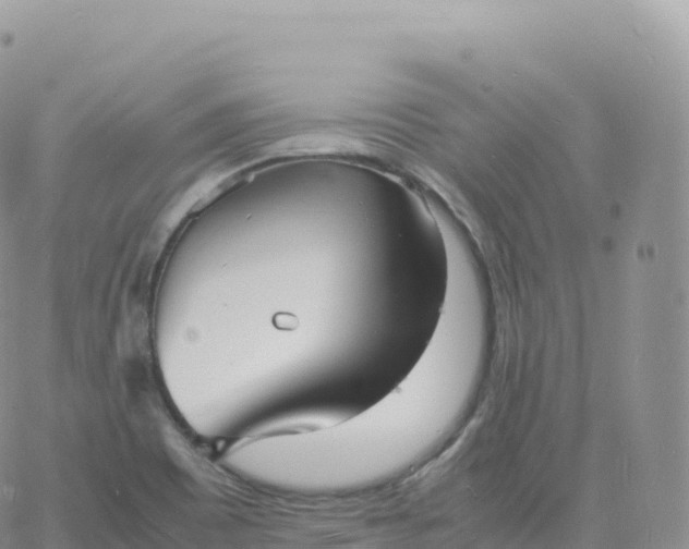 X0000060771465200511241741