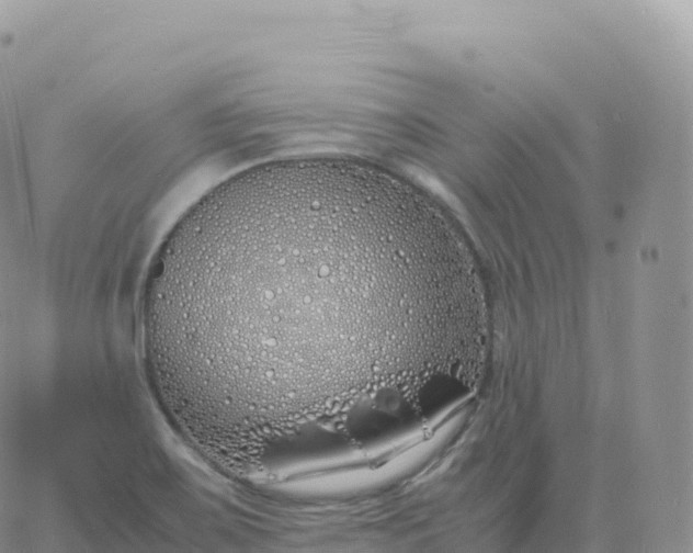 X0000060771467200511241741