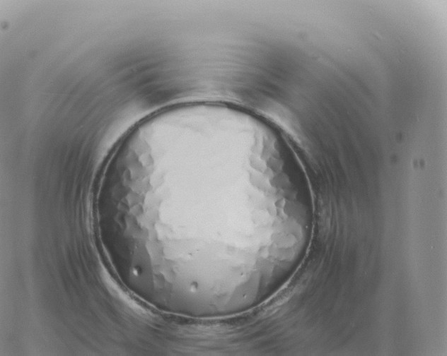 X0000060771468200511241741