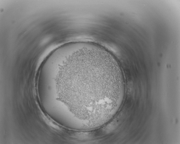 X0000060771470200511241741