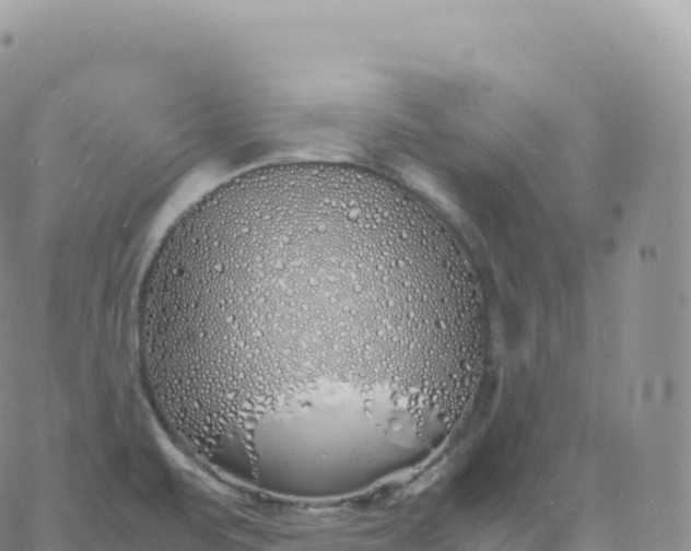 X0000060771471200511241741