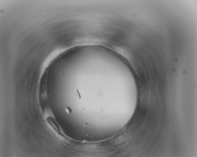 X0000060771472200511241741